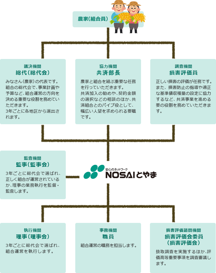 農家（組合員）
議決機関：総代（総代会）
みなさん（農家）の代表です。組合の総代会で、事業計画や予算など、組合運営の方向を決める重要な役割を務めていただきます。
3年ごとに各地区から選出されます。
協力機関：NOSAI部長
農家と組合を結ぶ重要な任務を行っていただきます。
共済加入の勧めや、契約金額の選択などの相談のほか、共済組合とのパイプ役として、幅広い人望を求められる要職です。
調査機関：損害評価員
正しい損害の評価が任務です。
また、損害防止の指導や適正な基準値収穫量の設定に協力するなど、共済事業を進める要の役割を務めていただきます。
監査機関：監事（監事会）
3年ごとに総代会で選ばれ、正しく組合が運営されているか、理事の業務執行を監督・監査します。
執行機関：理事（理事会）
3年ごとに総代会で選ばれ、組合運営を執行します。
事務機関：職員
組合運営の職務を担当します。
損害評価諮問機関：損害評価会委員会（損害評価会）
抜取調査を実施するほか、評価高等重要事項を調査審議します。